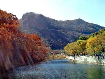 管家婆黑白马报图库，中关村物流